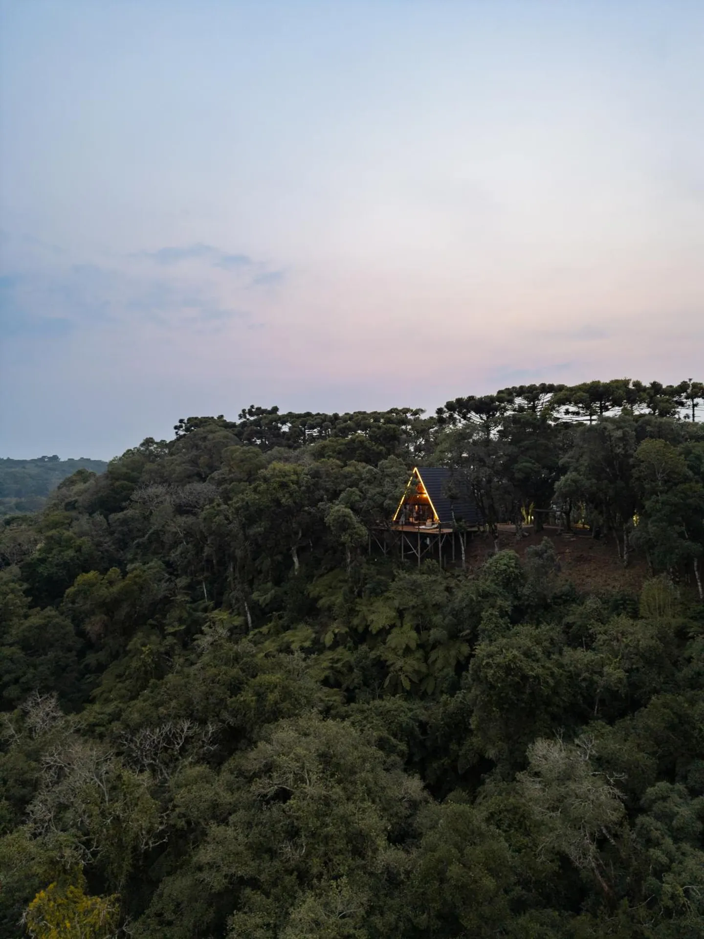 A Cabana Araucária sobre o deck suspenso, cercada pela mata ao anoitecer